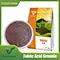 fulvic acid granule producer in china
